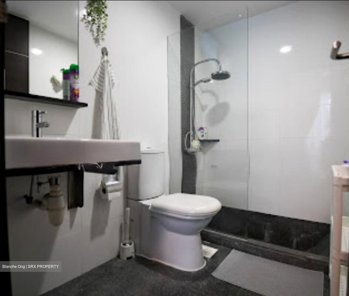 Mackenzie 138 (D9), Apartment #524434901